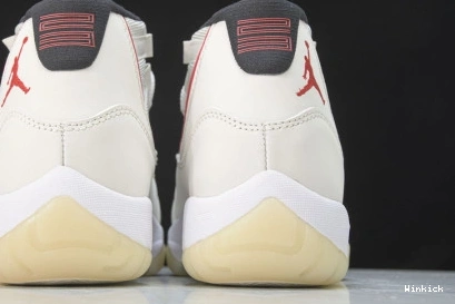TINT JORDAN 378037-016 AIR 11 PLATINUM 0710